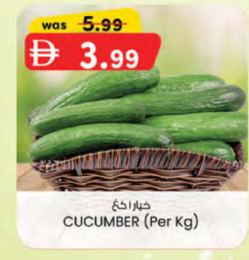 Cucumber available at الصفا in الإمارات العربية المتحدة , الامارات - ٱلْعَيْن‎