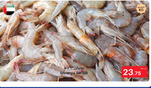 available at بن داود in قطر - الدوحة