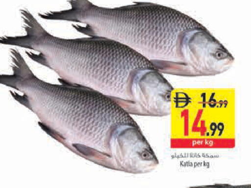 available at Safeer Market in UAE - Sharjah / Ajman