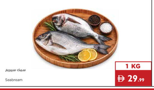 available at إسطنبول سوبرماركت in الإمارات العربية المتحدة , الامارات - دبي