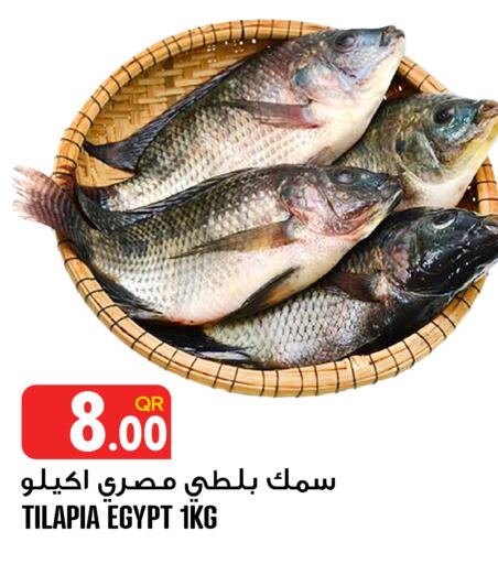 available at قصر الأغذية هايبرماركت in قطر - أم صلال