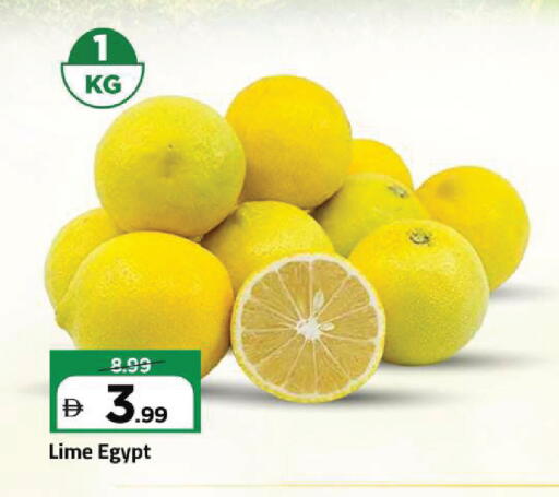 from Egypt available at Mark & Save in UAE - Sharjah / Ajman