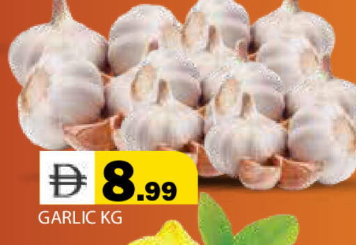 Garlic available at Baniyas Spike  in UAE - Ras al Khaimah