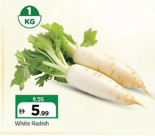 Radish available at مارك & سيف in الإمارات العربية المتحدة , الامارات - أبو ظبي