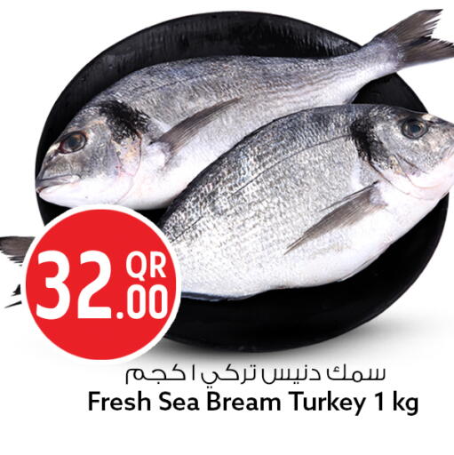 available at سفاري هايبر ماركت in قطر - الشمال