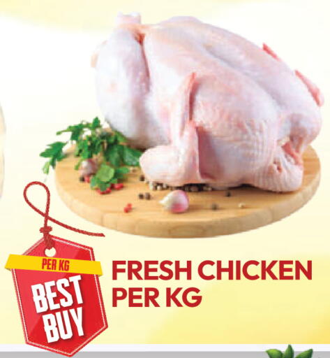 available at دريم لاند in الإمارات العربية المتحدة , الامارات - دبي