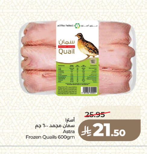 available at لولو هايبرماركت in مملكة العربية السعودية, السعودية, سعودية - جدة