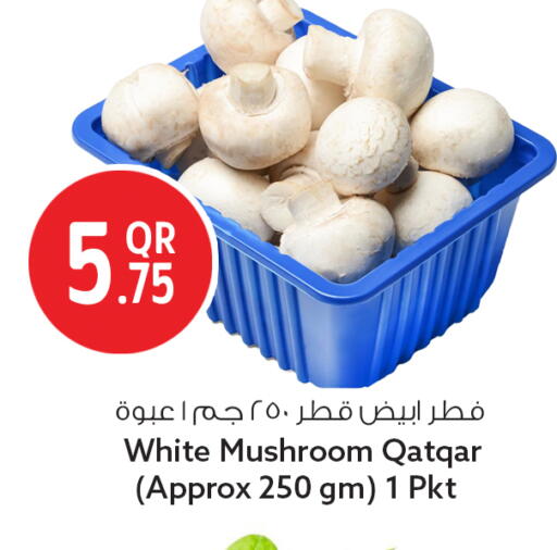 Mushroom available at سفاري هايبر ماركت in قطر - الشمال