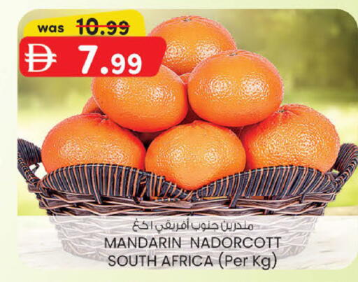 Mandarin from South Africa available at ك. إم. هايبرماركت in الإمارات العربية المتحدة , الامارات - ٱلْعَيْن‎