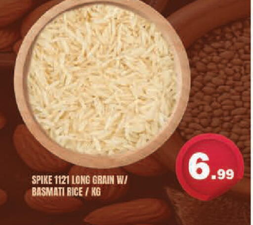 available at سنابل بني ياس in الإمارات العربية المتحدة , الامارات - أبو ظبي