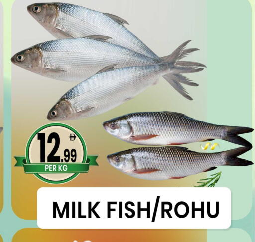 available at Centro Discount Center in UAE - Sharjah / Ajman