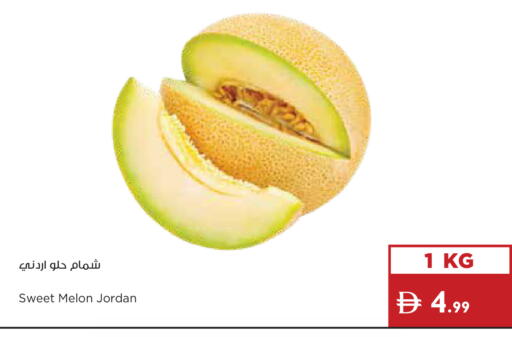 Melon from Jordan available at إسطنبول سوبرماركت in الإمارات العربية المتحدة , الامارات - دبي