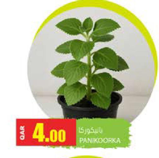 available at Grand Hypermarket in Qatar - Doha