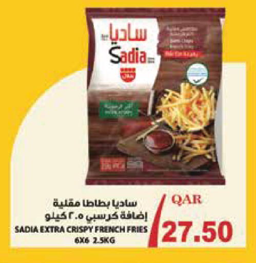 available at مونوبريكس in قطر - الريان
