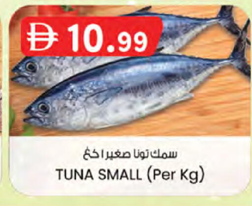 available at الصفا in الإمارات العربية المتحدة , الامارات - ٱلْعَيْن‎