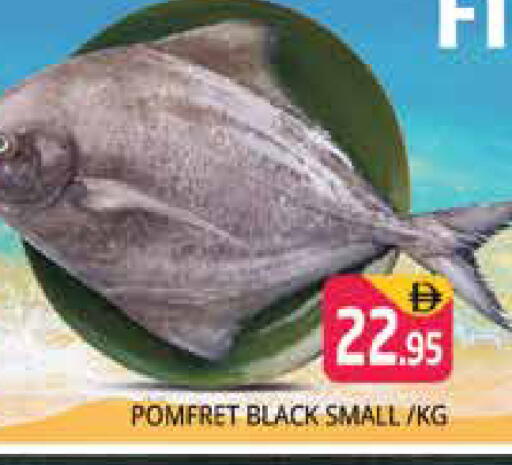 available at Pasons Hypermarket in UAE - Sharjah / Ajman
