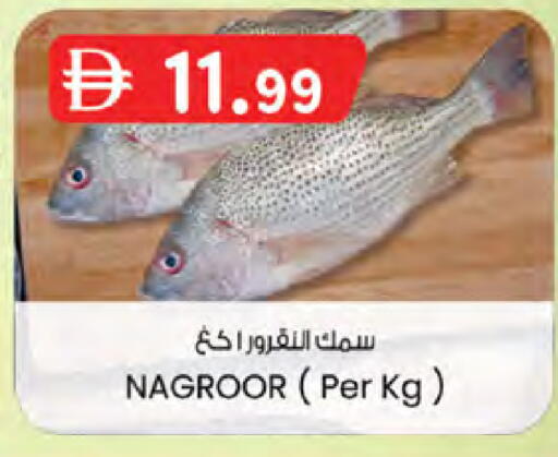available at الصفا in الإمارات العربية المتحدة , الامارات - ٱلْعَيْن‎