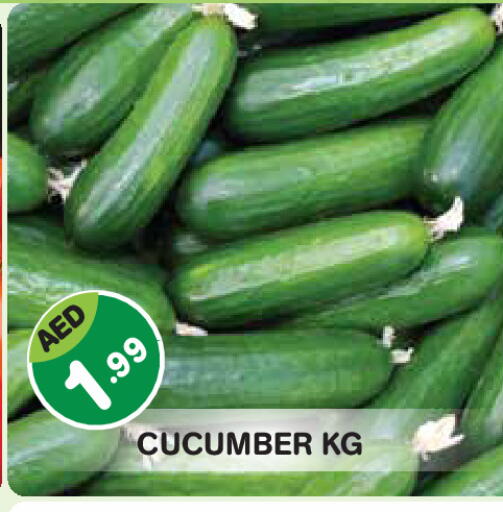 Cucumber available at سنابل بني ياس in الإمارات العربية المتحدة , الامارات - أبو ظبي