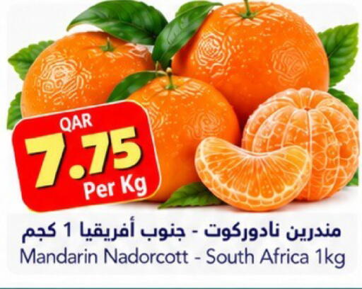 Mandarin from South Africa available at جلف فود سنتر in قطر - الدوحة