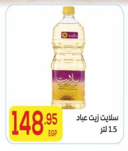 available at El Mahallawy Market  in Egypt - Cairo
