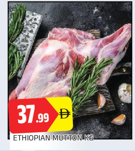 available at المدينة in الإمارات العربية المتحدة , الامارات - الشارقة / عجمان