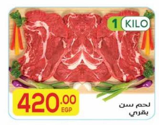 available at El Mahallawy Market  in Egypt - Cairo