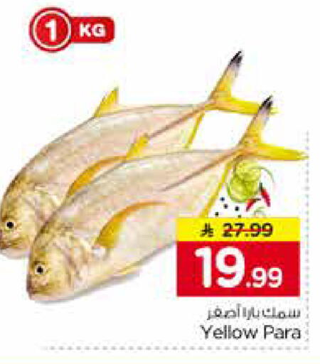 available at نستو in مملكة العربية السعودية, السعودية, سعودية - بريدة