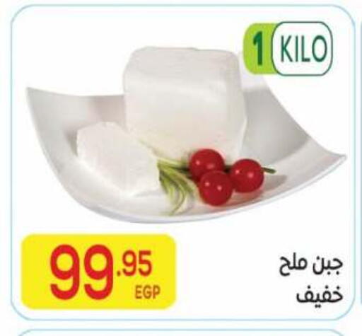 available at El Mahallawy Market  in Egypt - Cairo
