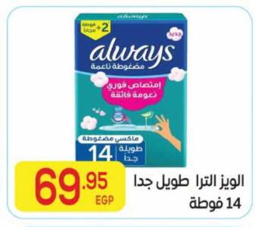 available at El Mahallawy Market  in Egypt - Cairo