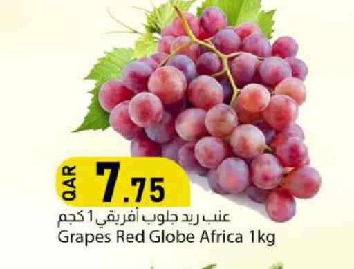 Grapes available at دانا ماركت in قطر - الوكرة