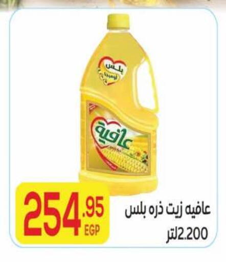 available at El Mahallawy Market  in Egypt - Cairo