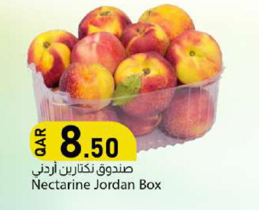 Nectarine from Jordan available at دانا ماركت in قطر - الوكرة