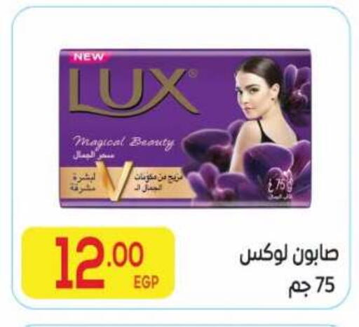 available at El Mahallawy Market  in Egypt - Cairo