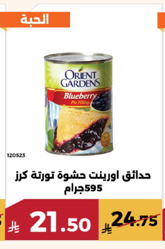 Blueberry BlueBerry available at Forat Garden in KSA, Saudi Arabia, Saudi - Mecca