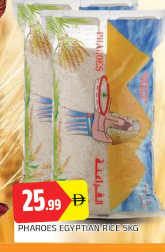 available at المدينة in الإمارات العربية المتحدة , الامارات - الشارقة / عجمان