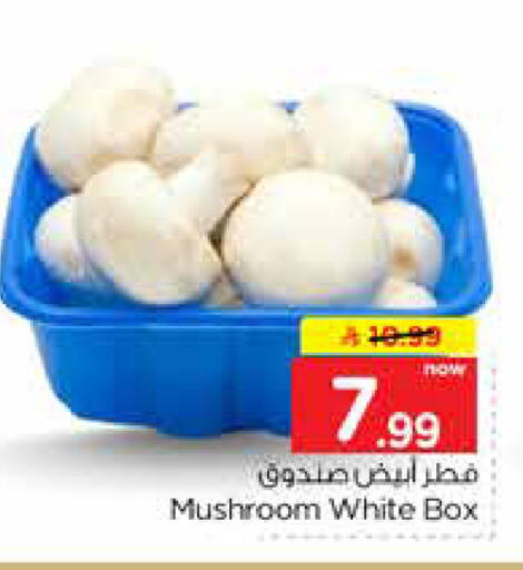 Mushroom available at نستو in مملكة العربية السعودية, السعودية, سعودية - الرياض