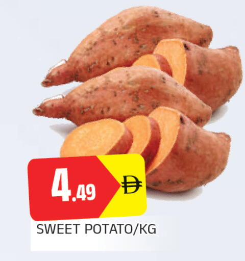 Sweet Potato available at المدينة in الإمارات العربية المتحدة , الامارات - الشارقة / عجمان