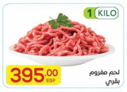 available at المحلاوي ماركت in Egypt - القاهرة