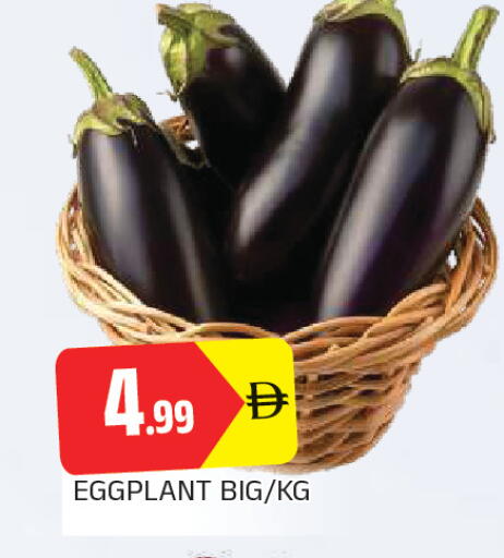 Eggplant available at المدينة in الإمارات العربية المتحدة , الامارات - الشارقة / عجمان