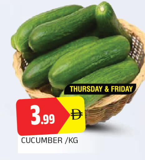Cucumber available at المدينة in الإمارات العربية المتحدة , الامارات - الشارقة / عجمان