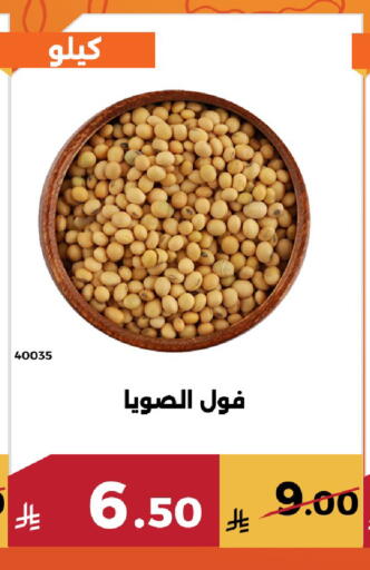 available at Forat Garden in KSA, Saudi Arabia, Saudi - Mecca