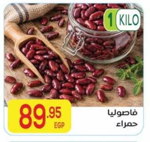 available at El Mahallawy Market  in Egypt - Cairo