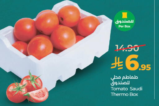 Tomato from Saudi Arabia available at لولو هايبرماركت in مملكة العربية السعودية, السعودية, سعودية - المدينة المنورة