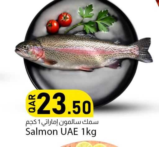 available at دانا ماركت in قطر - الوكرة