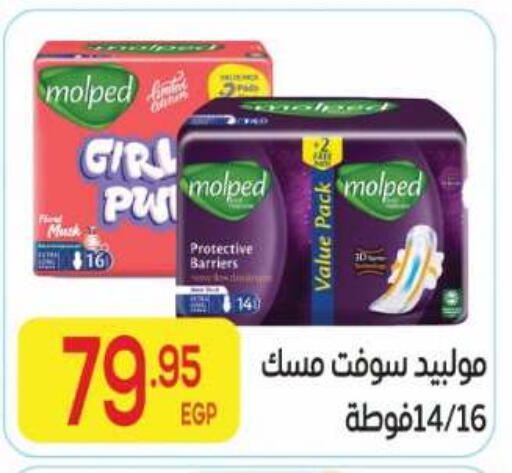 available at المحلاوي ماركت in Egypt - القاهرة