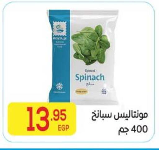 Spinach available at El Mahallawy Market  in Egypt - Cairo