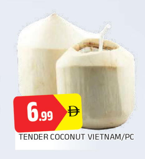 Coconut from Vietnam available at المدينة in الإمارات العربية المتحدة , الامارات - الشارقة / عجمان