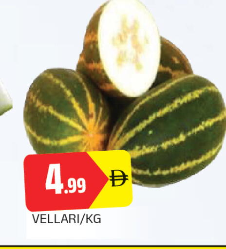 available at المدينة in الإمارات العربية المتحدة , الامارات - الشارقة / عجمان