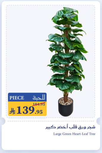 available at ميرا مارت مول in مملكة العربية السعودية, السعودية, سعودية - جدة