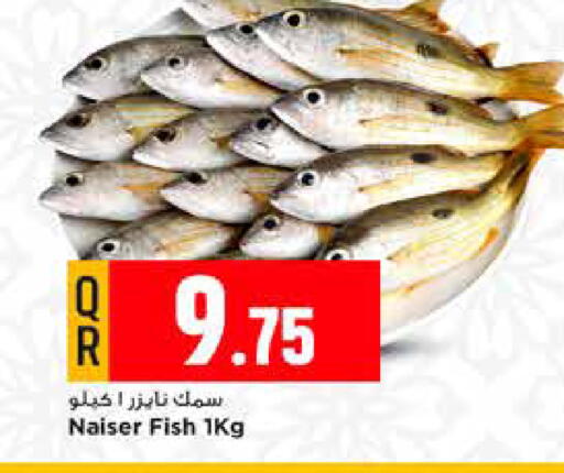 available at مرزا هايبرماركت in قطر - الخور